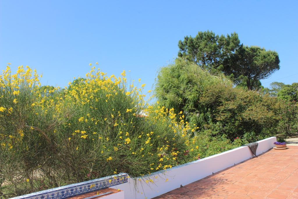 Casal Novo Guest House São Martinho do Porto Eksteriør bilde