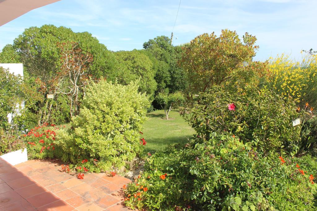Casal Novo Guest House São Martinho do Porto Eksteriør bilde