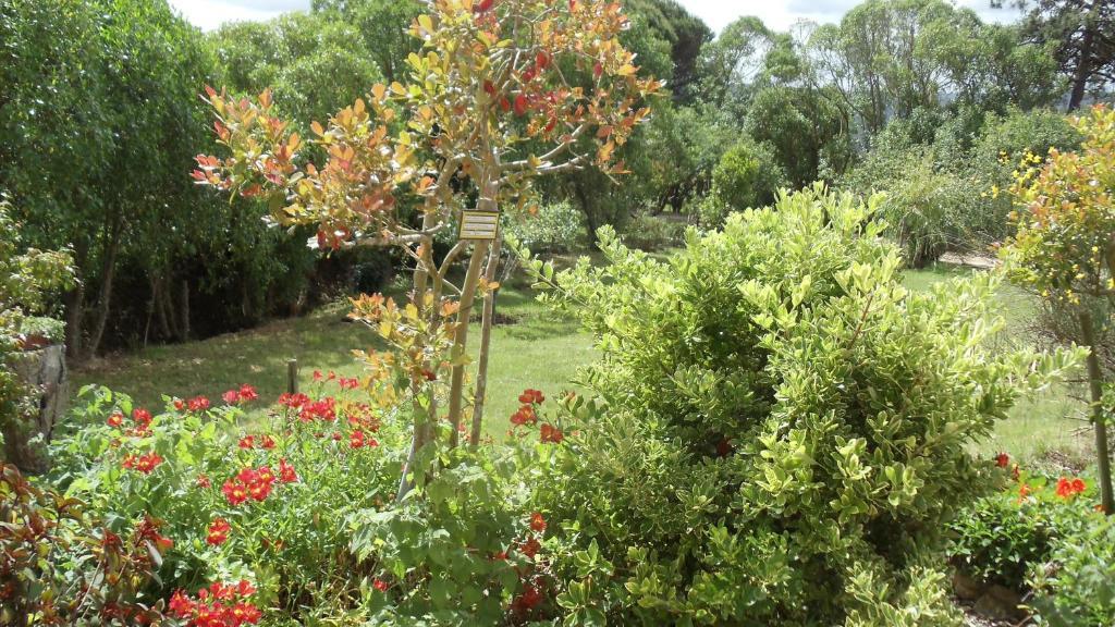 Casal Novo Guest House São Martinho do Porto Eksteriør bilde