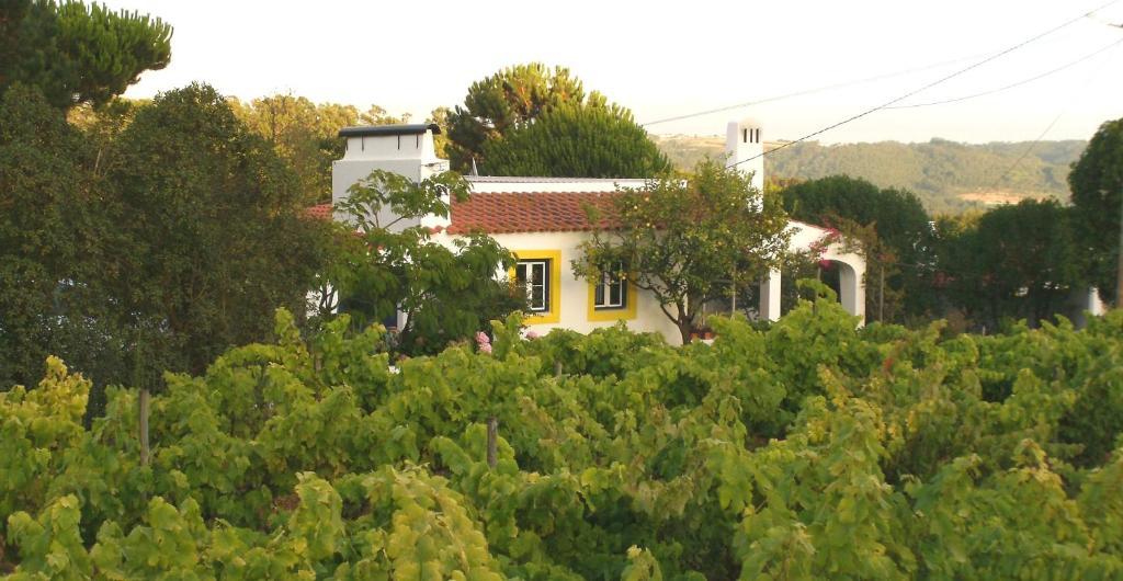 Casal Novo Guest House São Martinho do Porto Eksteriør bilde