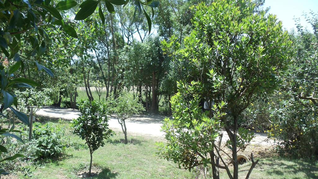 Casal Novo Guest House São Martinho do Porto Eksteriør bilde